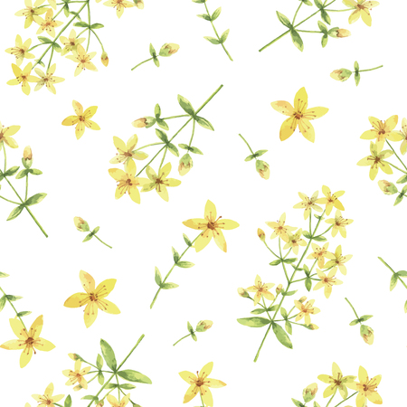Watercolor vector seamless pattern with St Johns wort flowers and branches. Background for textile, paper and other print and web projects.のイラスト素材