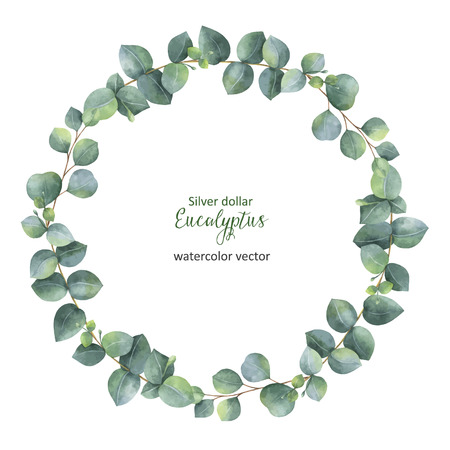 Watercolor vector round wreath with silver dollar eucalyptus.の写真素材