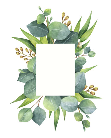 Watercolor green floral card with eucalyptus leaves and branches isolated on white background.の写真素材