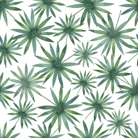Watercolor seamless pattern with tropical leaves isolated on white background.の写真素材
