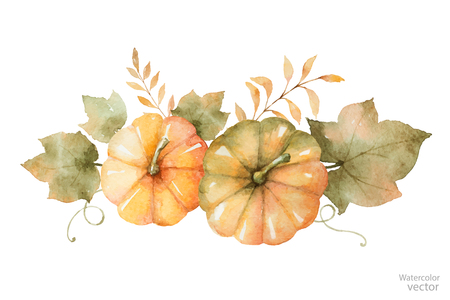 Watercolor vector autumn bouquet of leaves, branches and pumpkins isolated on white background.のイラスト素材