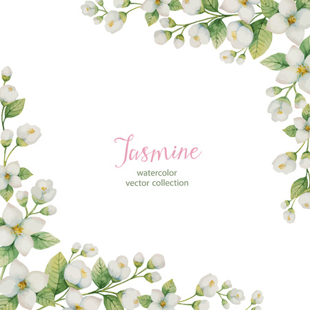 Watercolor frame of flowers and branches Jasmine isolated on a white .のイラスト素材