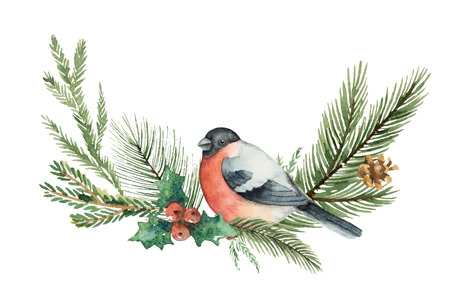 Watercolor vector Christmas wreath with fir branches and bullfinch.のイラスト素材