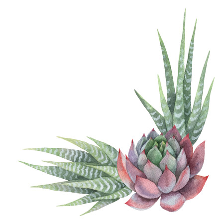 Watercolor vector bouquet of cacti and succulent plants isolated on white background.のイラスト素材