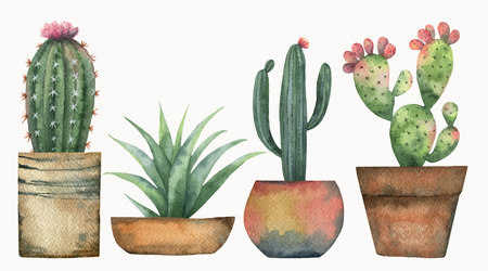 Watercolor vector set of cacti and succulent plants isolated on white background.のイラスト素材