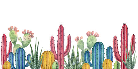 Watercolor illustration of cactus plantsのイラスト素材