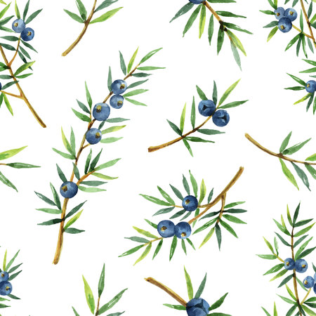 Watercolor seamless pattern of plants juniper isolated on white background.のイラスト素材