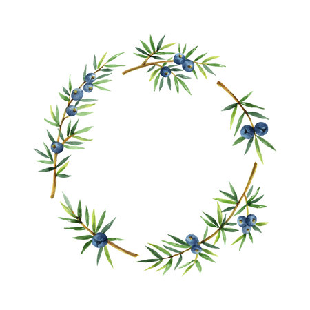 Watercolor wreath plants juniper isolated on white background.のイラスト素材