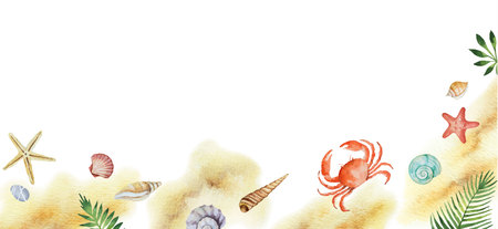 Watercolor vector colorful seashells and tropical leaves isolated on a white background.のイラスト素材