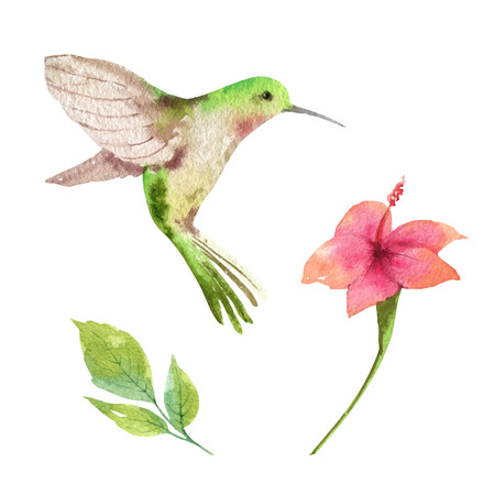 Watercolor vector card tropical leaves, hummingbird and flowers isolated on white background. Illustration for design wedding invitations, greeting cards, postcards.のイラスト素材