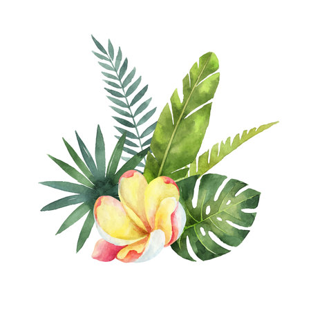 Watercolor vector bouquet tropical leaves and flowers isolated on white background. Illustration for design wedding invitations, greeting cards, postcards.のイラスト素材