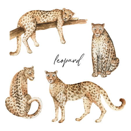 Watercolor  set with leopard and green tropical leaves isolated on whiteのイラスト素材