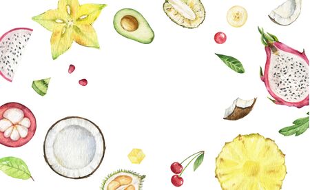 Watercolor vector hand painted card of exotic fruits. Fresh food design elements isolated on white...