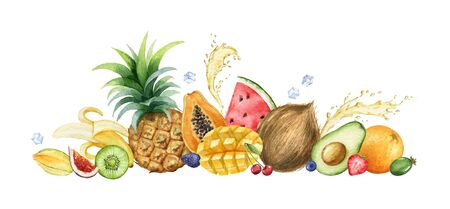 Watercolor vector hand painted set of exotic fruits. Fresh food design elements isolated on white background.のイラスト素材
