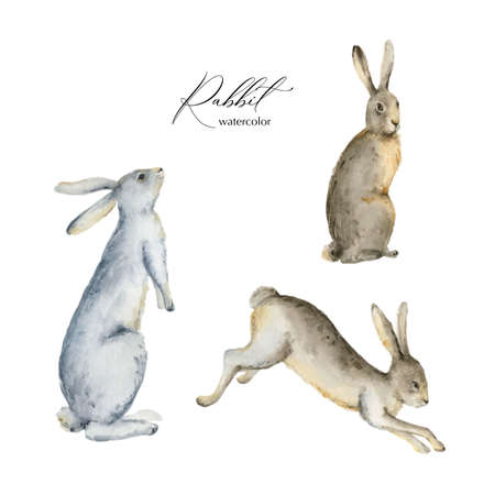 Watercolor vector set with rabbits isolated on a white background.のイラスト素材