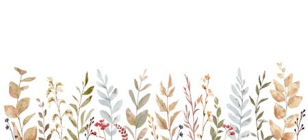 Watercolor banner of autumn branches isolated on a white background.のイラスト素材