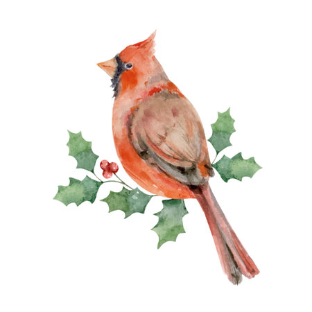 Watercolor vector Christmas arrangement with Bird Cardinal and holly jolly.のイラスト素材