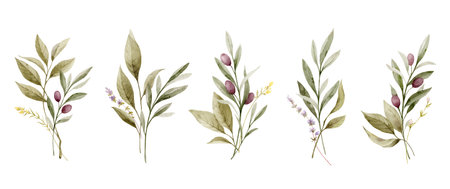 Watercolor vector bouquet set with olive branches and green foliage. Hand painted botanical illustration. Greenery clipart for greeting cards, decoration, wedding invitation, stationery design.のイラスト素材