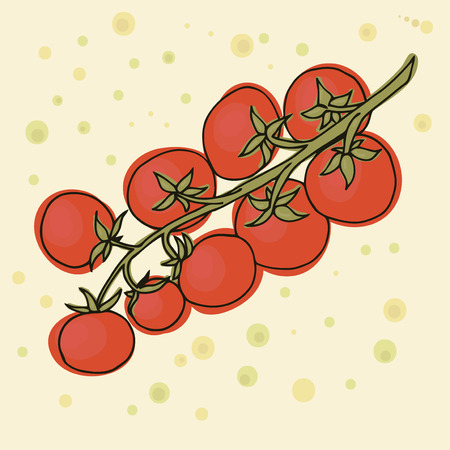 Tomatoes vector illustration. The branch of cherry vegetable.のイラスト素材