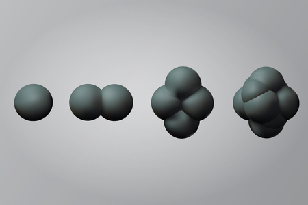 Set the zygote human illustration.のイラスト素材