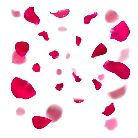 Pink rose petals are falling down.のイラスト素材