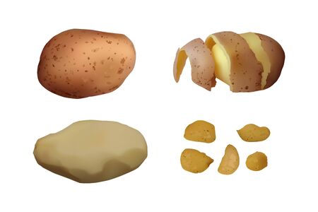 Chips, peeled and baked Potato set. Vector illustration. Vegetarian food.のイラスト素材