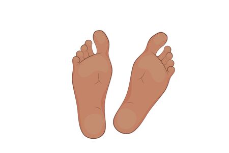 Vector illustration of a mans feet. Legs, sole, body part.のイラスト素材