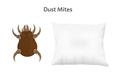 Brown dust mite on pillow vector illustration. Microscopic dangerous insect causes asthma, allergy, infection and dermatitis.のイラスト素材