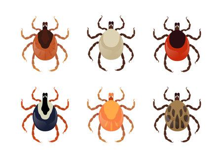 Six different types of mites on a white backgroundのイラスト素材