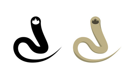 Hookworms, specifically Necator americanus and Ancylostoma duodenale, intestinal parasites