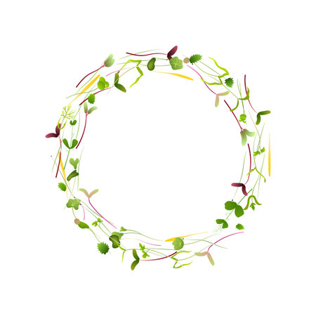 Microgreens forming a circle on white backgroundのイラスト素材