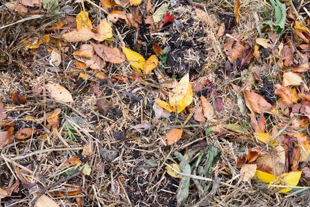 A layer of organic matter laid on a garden bed to break down naturallyの写真素材