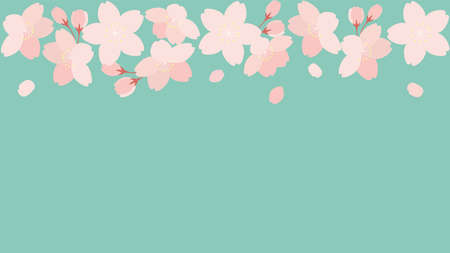 Spring background template, cherry blossoms and petals illustrationのイラスト素材