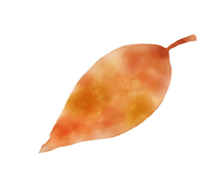 Illustration of fallen autumn leaves painted in watercolorのイラスト素材
