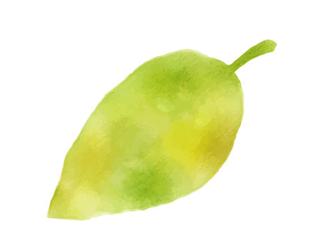 Illustration of fallen autumn leaves painted in watercolorのイラスト素材