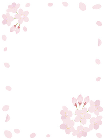 cherry blossom frame on white background, vector illustration design.のイラスト素材
