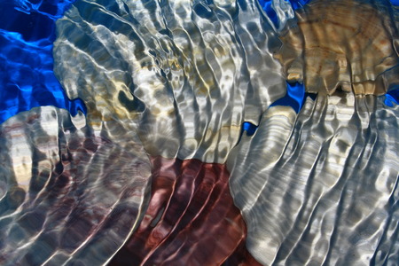 seashell under water with wavesの写真素材