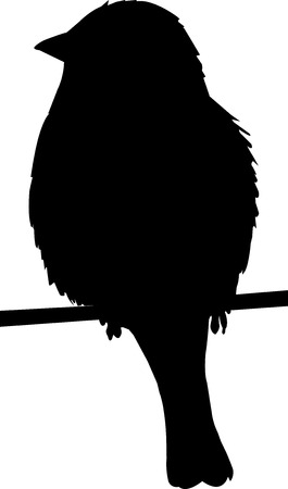 Sparrow on a wire silhouette on white backgroundのイラスト素材