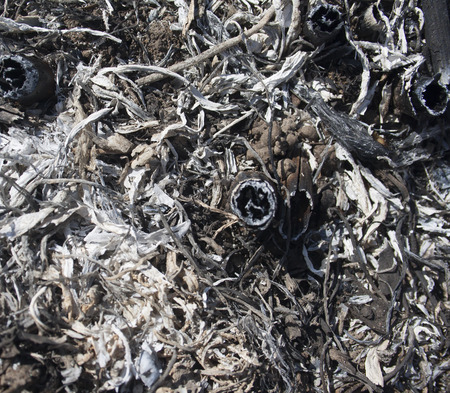 texture of ash from burnt grass closeup