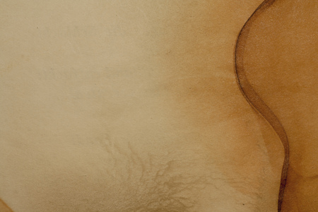 Paper, aged more than 70 years in a closed capsule, sunk in a swampの写真素材