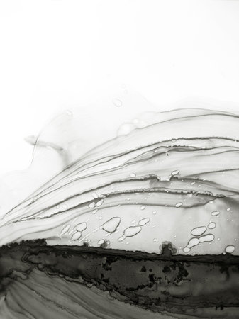 black and white abstract background, hand drawn alcohol painting, liquid ink techniqueの写真素材