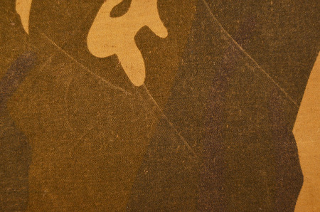 Textile camouflage cloth pattern. Abstract background and texture for design and ideas.の写真素材