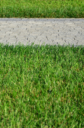 A beautiful new walkway made of paving stone is located among the green grassの写真素材