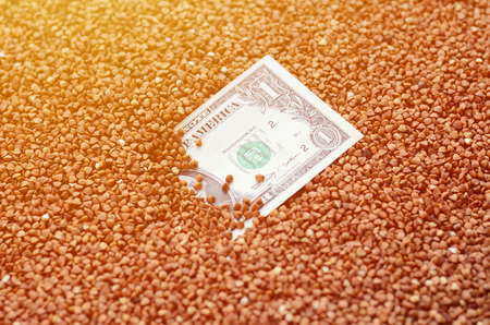 The background texture of a large pile of buckwheat, in the middle of which you see a bill of one US dollar. The concept of higher prices for cerealsの写真素材