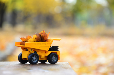 A small toy yellow truck is loaded with yellow fallen leaves. The car stands on a wooden surface against a background of a blurry autumn park. Cleaning and removal of fallen leaves. Seasonal worksの写真素材