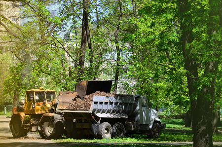 The city improvement team removes the fallen leaves in the park with an excavator and a truck. Regular seasonal work on improving the public places for recreationの写真素材