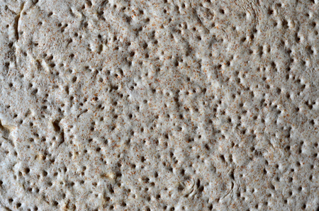 Raw dough cake as a preparation for the subsequent preparation of pizza. The texture of the base for instant pizza in raw conditionの写真素材