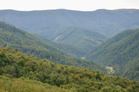 Fragment of the mountainous terrain in the Carpathians, Ukraine. The forest is forgiven by the reliefs of the Carpathian Mountainsの写真素材