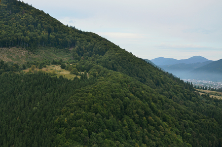 Fragment of the mountainous terrain in the Carpathians, Ukraine. The forest is forgiven by the reliefs of the Carpathian Mountainsの写真素材