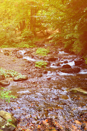 Close-up image of a small wild waterfall in the form of short streams of water between mountain stonesの写真素材